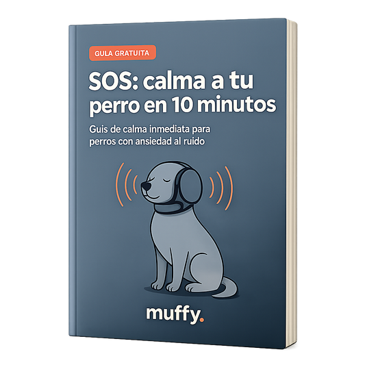 Guía Digital de Calma Inmediata en Menos de 10 Minutos